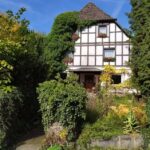 Haus Buntspecht