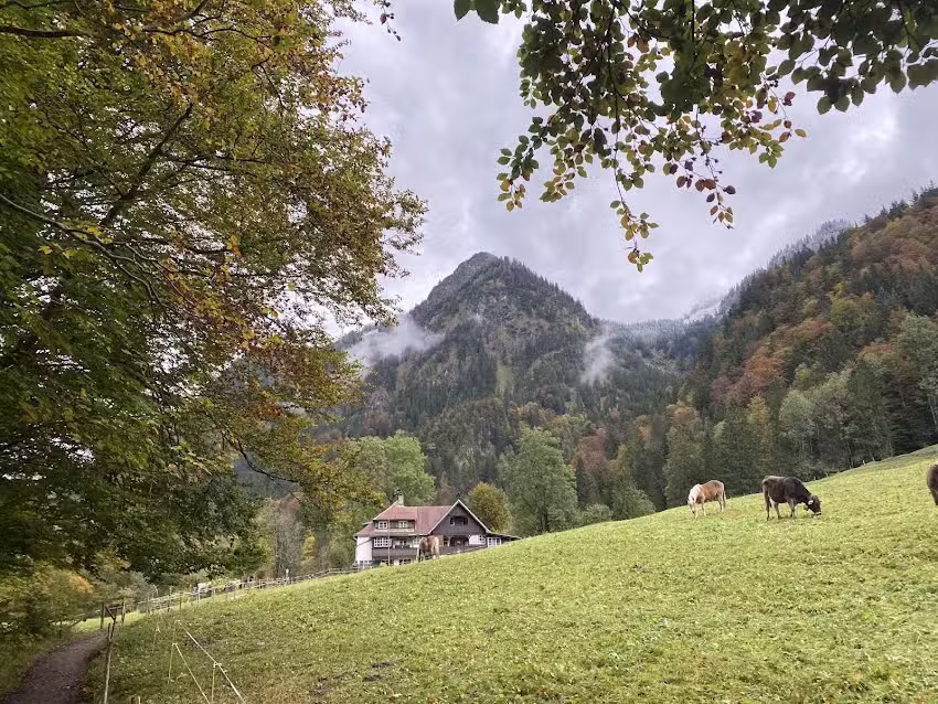 Haus Gottenried