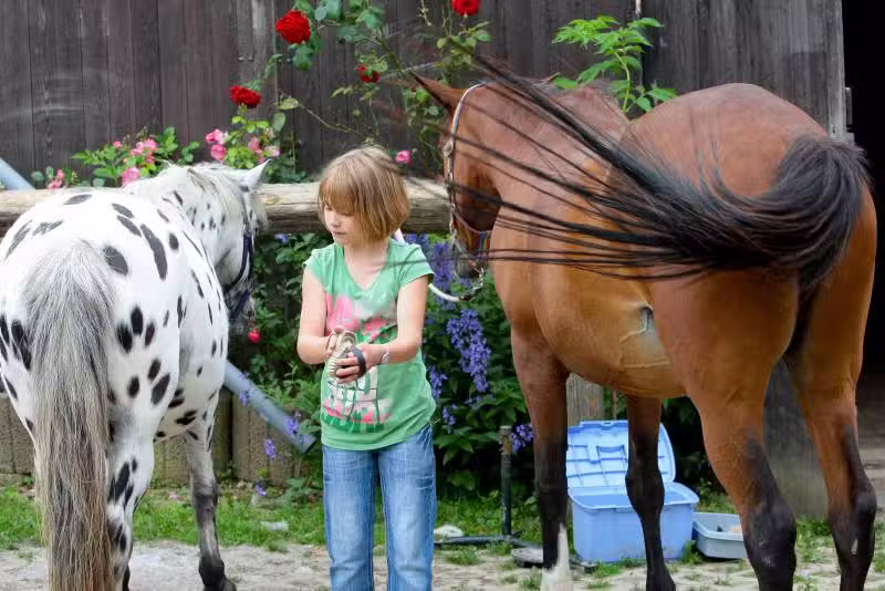 Haus Salzbornh&ouml;he