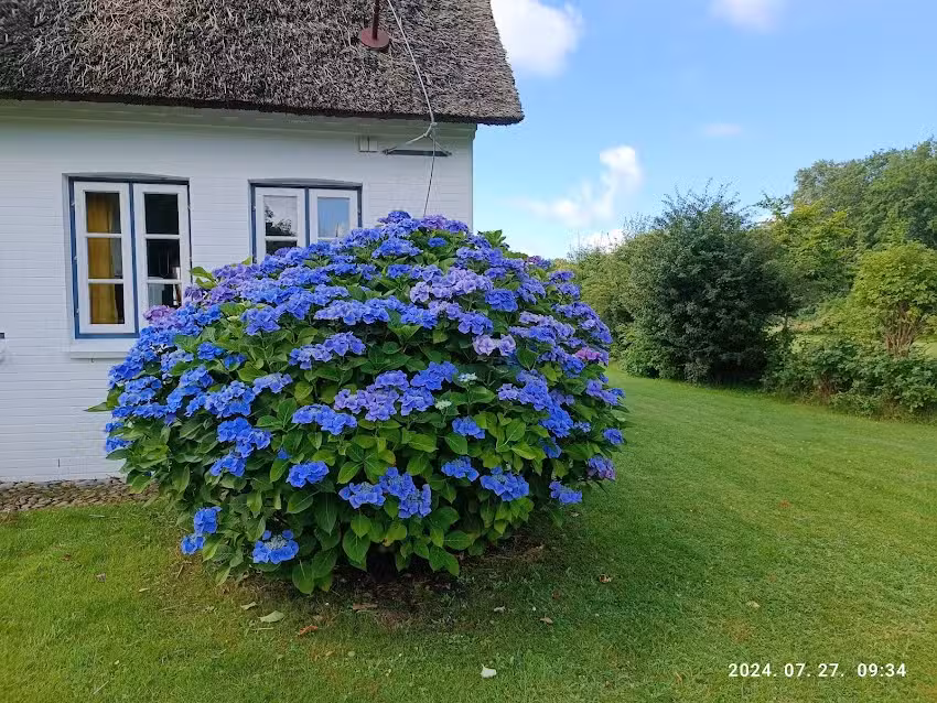 Haus Sterntaler