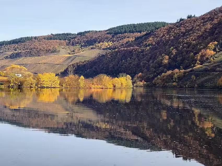 Hausboot Moseltraum