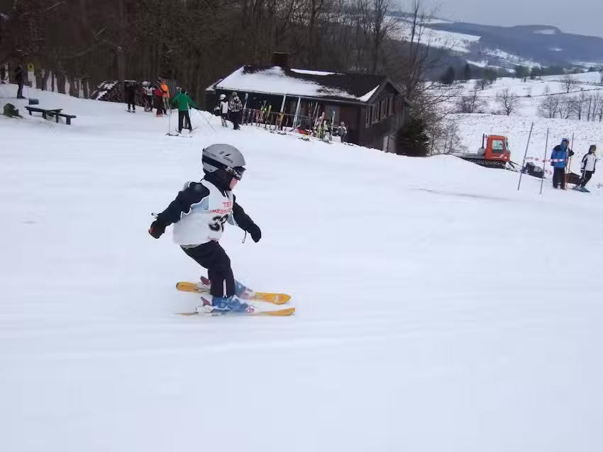 Heidelsteinh&uuml;tte