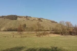 Helene’s Ferienwohnung