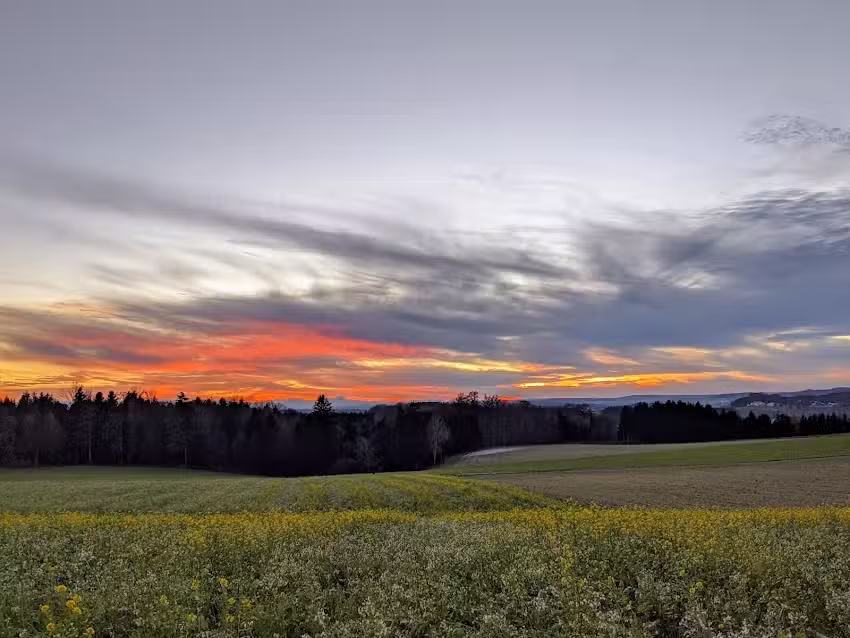 Herr Sebastian Heindl