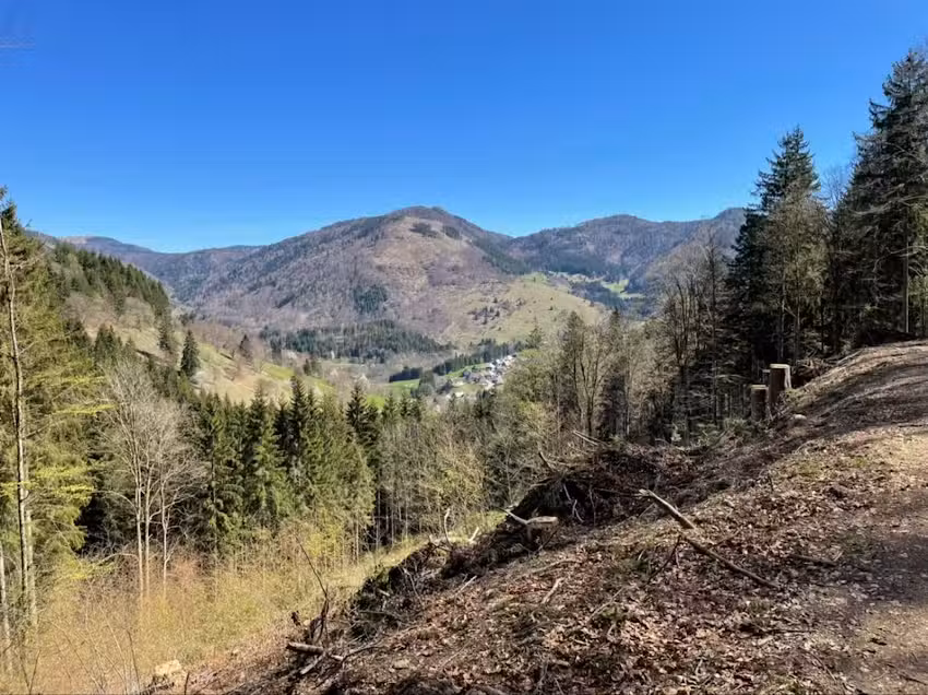 Herrenschwander H&uuml;tte