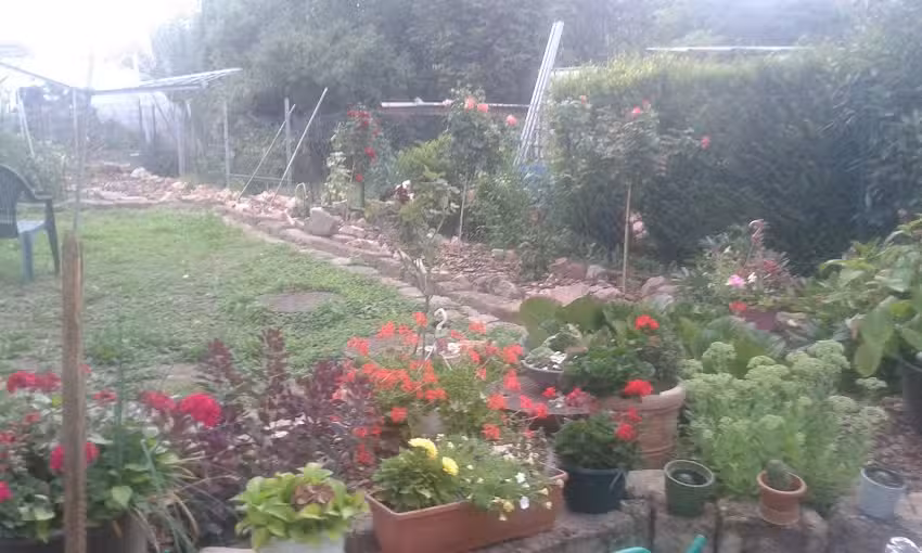 Hirsch Elmar u. Hedwig