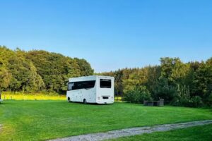 Hof an der Hese – Limousinzucht