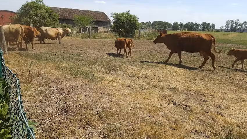 Hofladen Gr&auml;ben