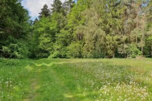 Holiday home Fuchsberg