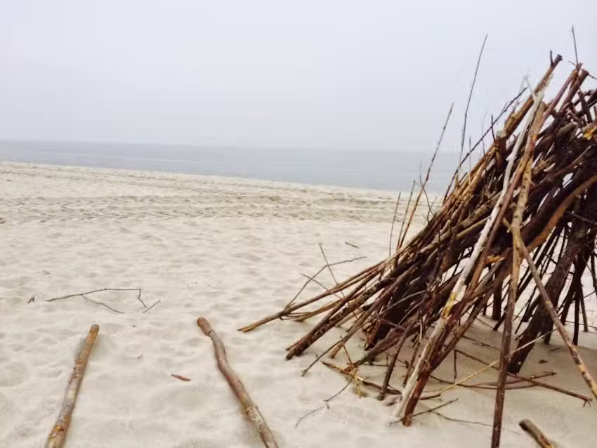 Holte H&uuml;&uuml;s