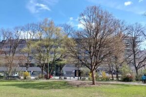 Hostelling International