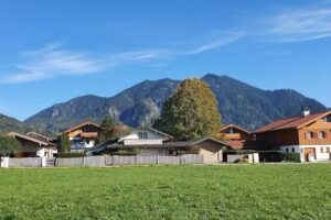 Hotel Alpina
