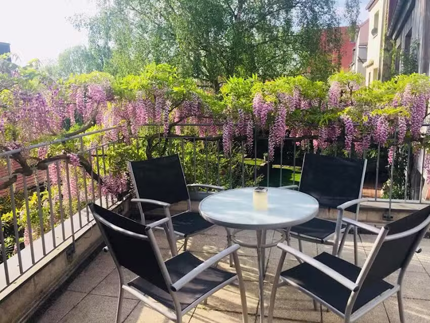 Hotel &bdquo;Blaue Blume&ldquo;