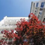 Hotel Condor