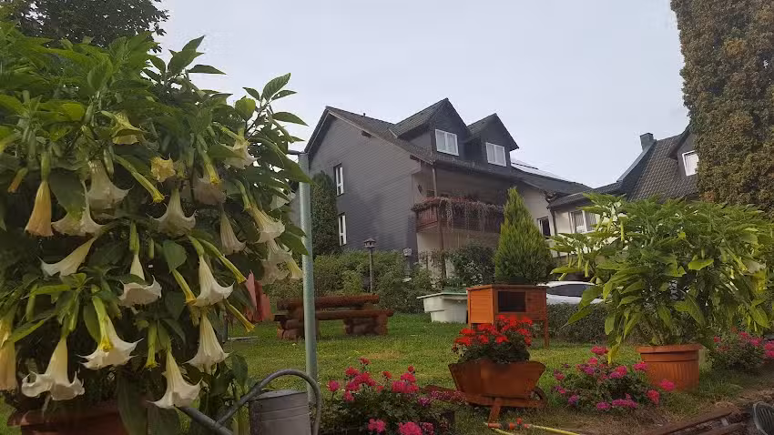 Hotel Gasthaus Steiger