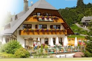 Hotel H&ouml;hengasthof Gr&uuml;ner Baum