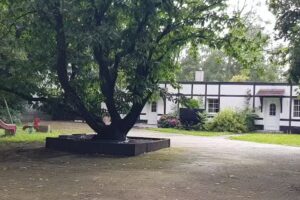 Hotel Lippens