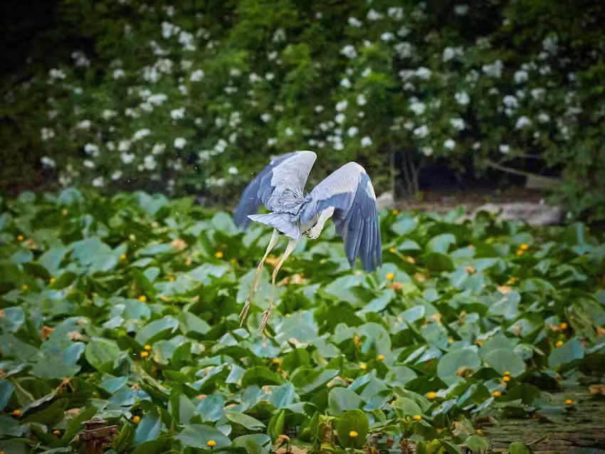 Hotel Schlo&szlig;cafe