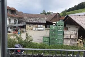 Hotel Sch&ouml;nau