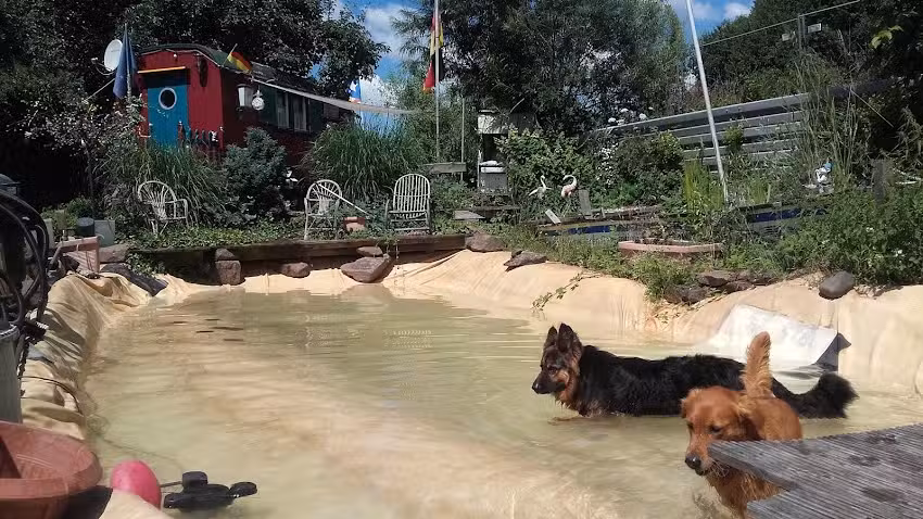Hundehotel RUDELPARADIES
