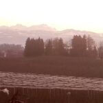 Igelhof