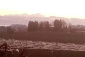 Igelhof