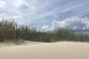 Inselfriede Ferienwohnungen Spiekeroog Haus Richelwiesen