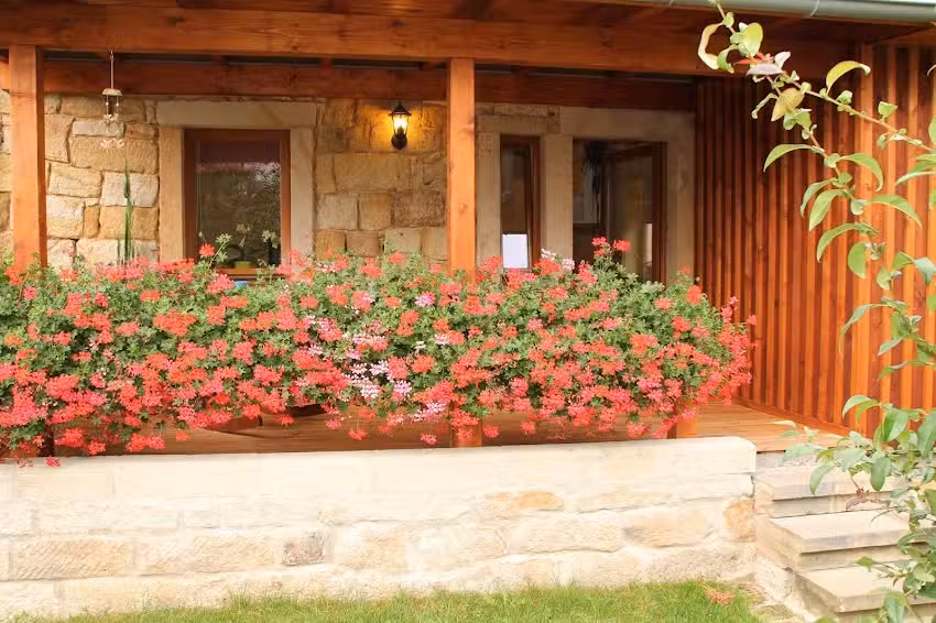 J&ouml;rgs Ferienwohnung