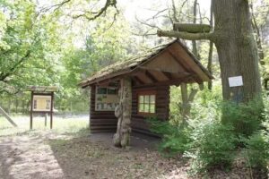 Jugendwaldheim Spitzberg