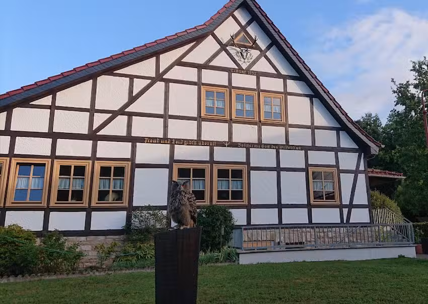 Jugendwaldheim Wildenstall