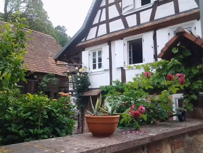 Kastanienhof-pfalz.de