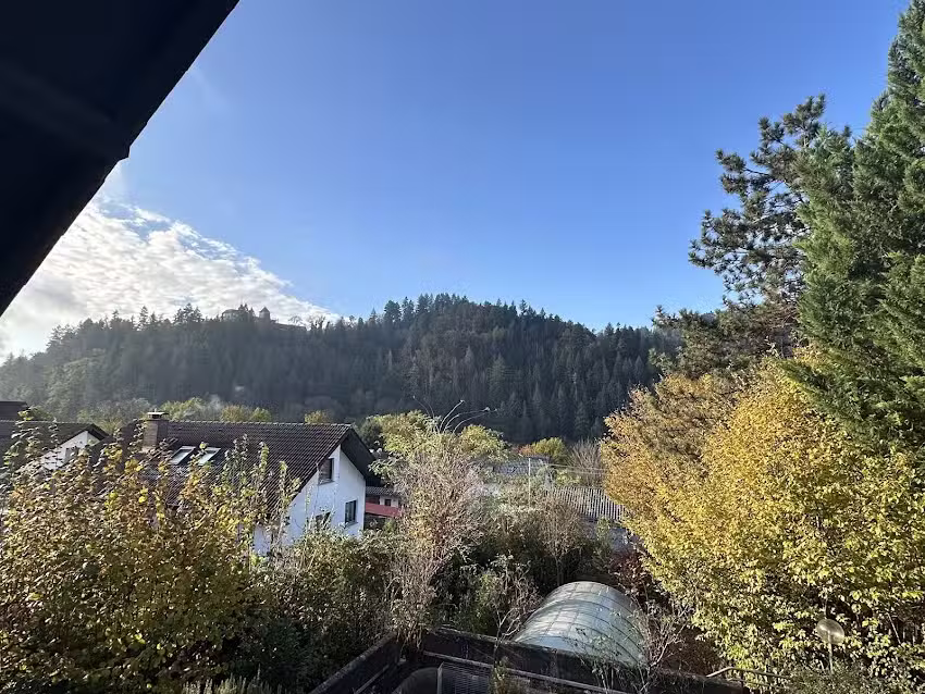 Katzenkoje