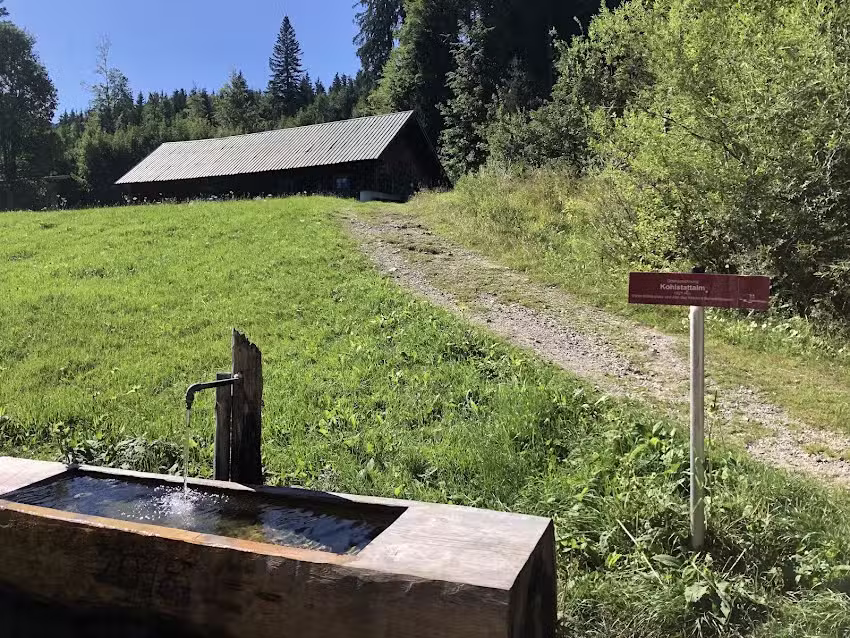 Kohlstattalm