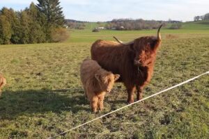 Landhaus Weihersm&uuml;hle