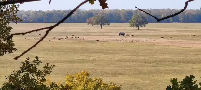 Landjugendheim Steutz