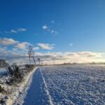 LANDLIEBE