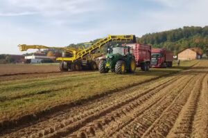Landwirtschaft Heck/ Ferienwohnung Heck