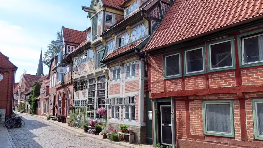 Lauenburger Elbblick