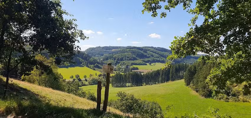 Lausebuche