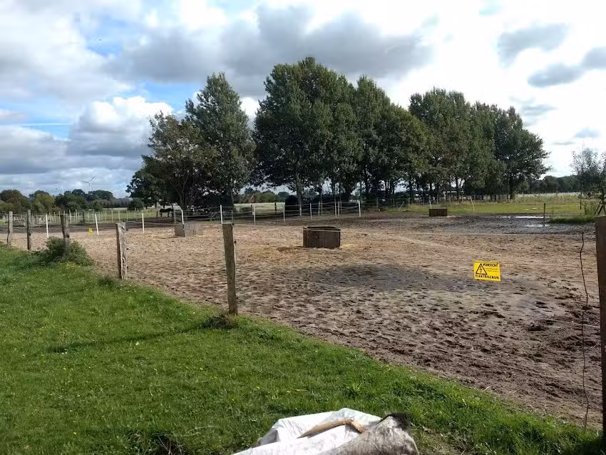 Lazy Horse Ranch