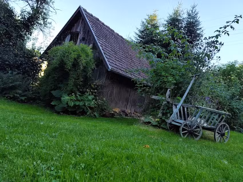 Lerchennest