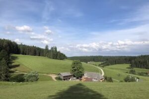 Lippenhof in Unterkirnach