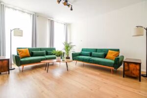 L&ouml;we Apartment Gr&uuml;n