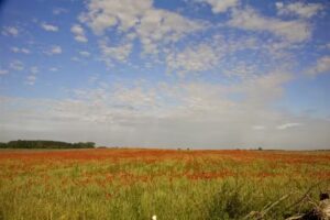 Malreise Mecklenburg Vorpommern