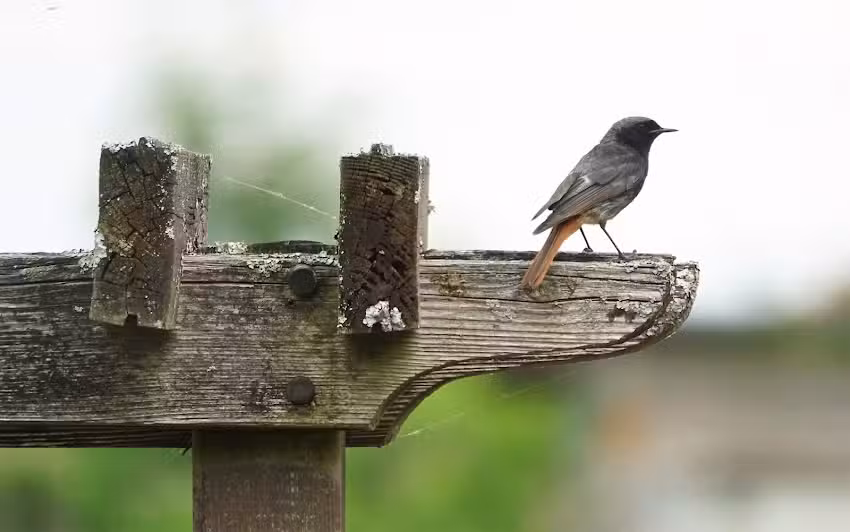 Manfred & Doris M&uuml;ller
