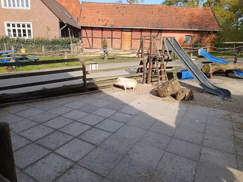 Mareike H&ouml;per Ponyhof