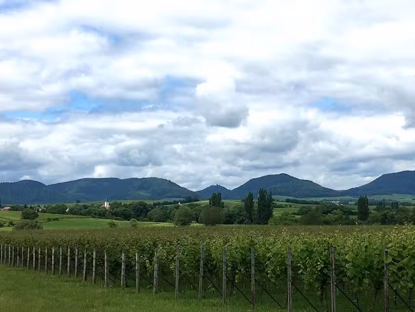 Margit & Richard Joachim