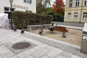 MARKT LIFE HOME GmbH