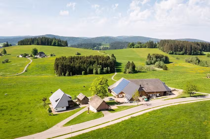 Markus Wangler, Haldenmichelhof