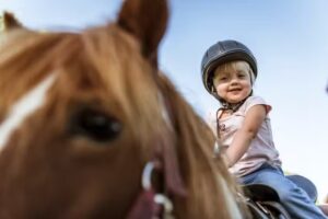 Moierhof – der Ferienbauernhof am Chiemsee